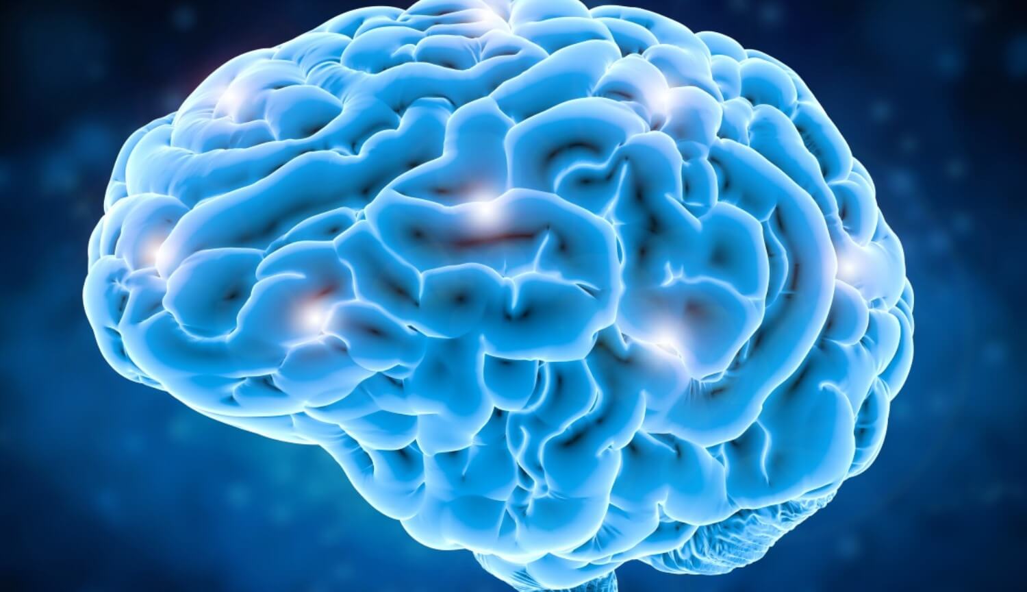 Найден отдел мозга, заставляющий людей смеяться и чувствовать эйфорию. Фото.