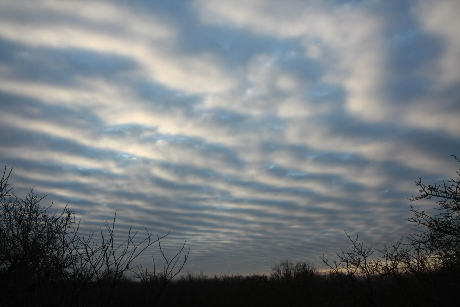 Высокий уровень содержания углекислого газа в атмосфере может лишить планету облаков. Фото.