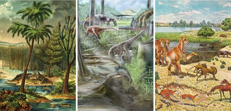 Разнообразие жизни на Земле не изменилось со времен динозавров. Фото.