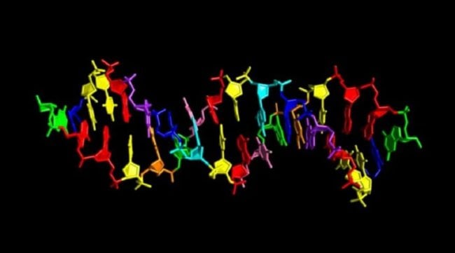 Причудливая ДНК из восьми букв может принадлежать инопланетянам. Фото.
