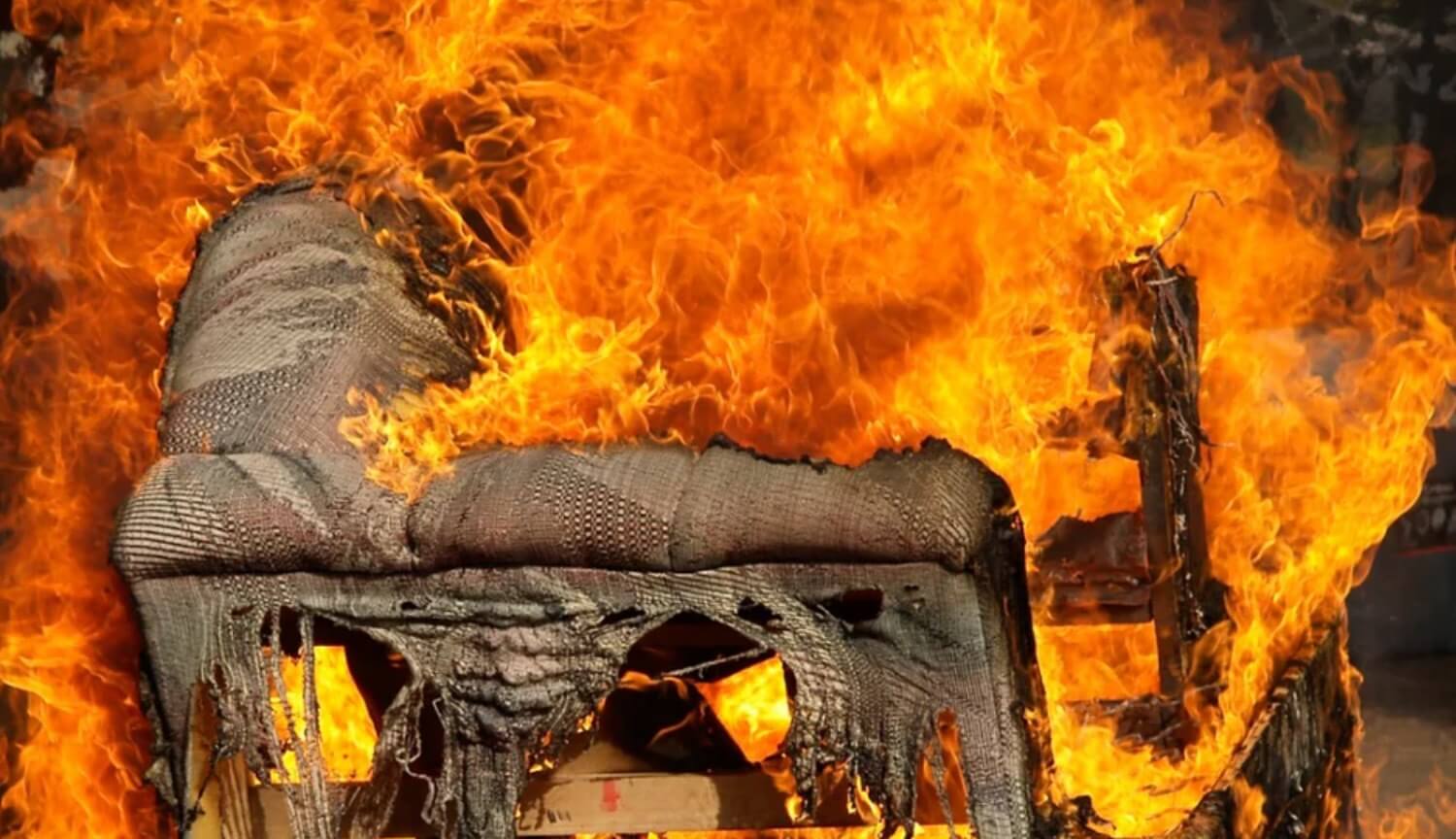 Это покрытие из растений из глины способно спасти вещи от огня. Это покрытие из растений из глины способно спасти вещи от огня. Фото.