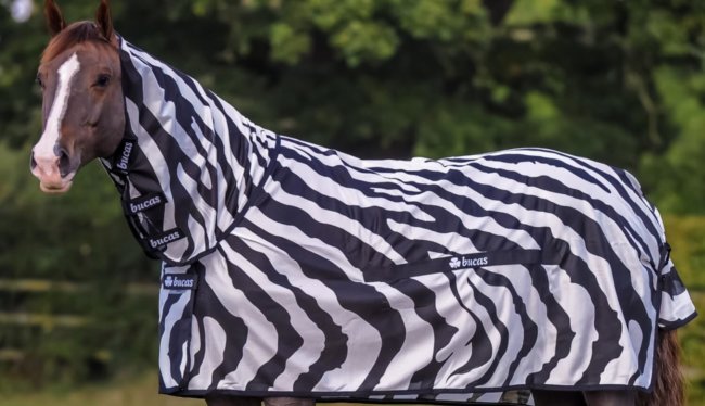 Зачем учёные надели костюм зебры на обычную лошадь? Во имя науки! Фото.