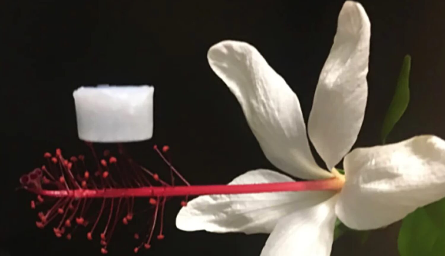 Легкий и стойкий материал защитит ракеты и автомобили от высоких температур. Фото.