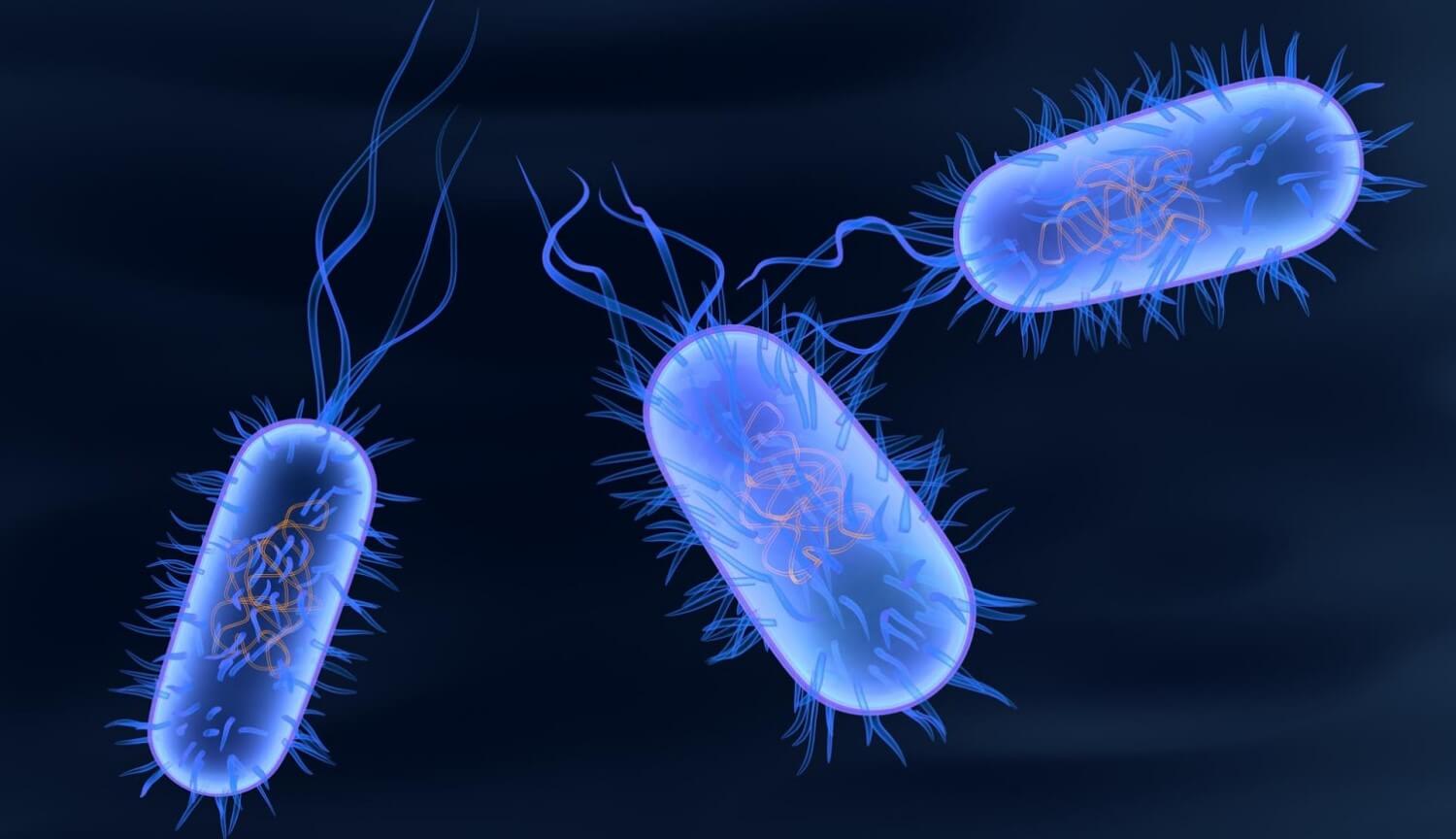 Микробы и бактерии — в чем разница? Первые многоклеточные организмы. Фото.
