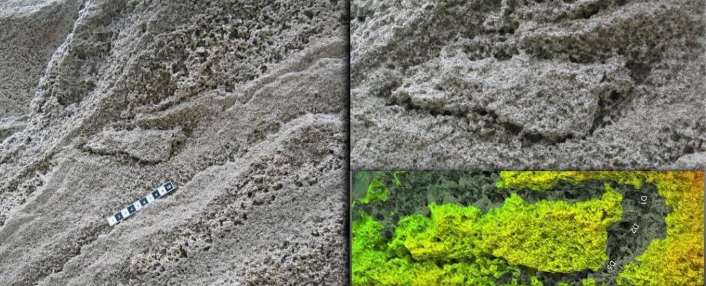 След неандертальца