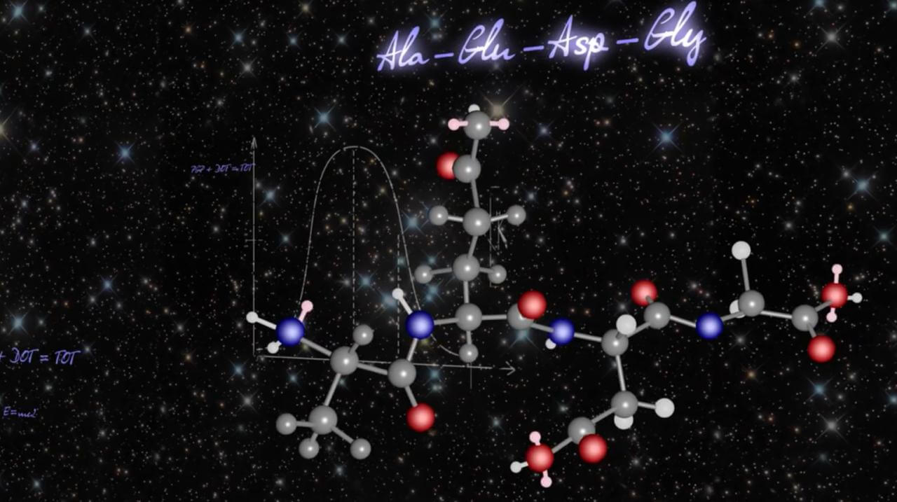 Пептид эпифиза, последовательность аминокислот в структуре: аланин-глутамин-аспарагин-глицин Ala-Glu-Asp-Gly. Фото.