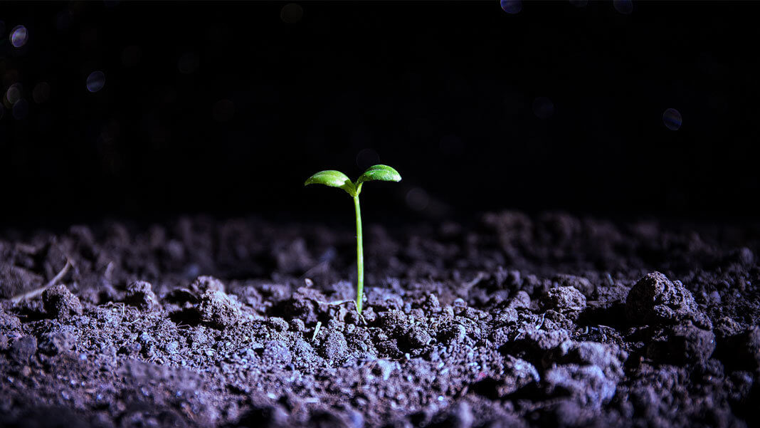 Что нужно человечеству, чтобы прочно обосноваться в космосе?. Фото.