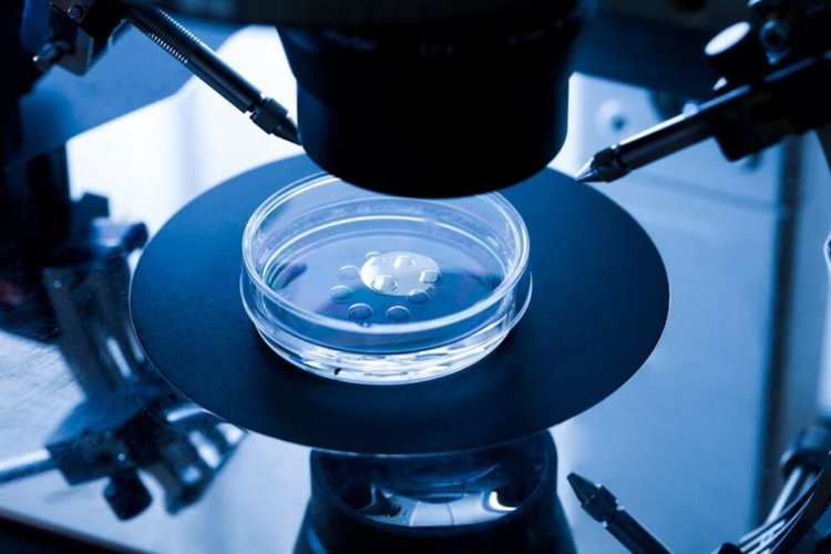Ученые призвали к мировому запрету использования технологии генного редактирования CRISPR. Фото.