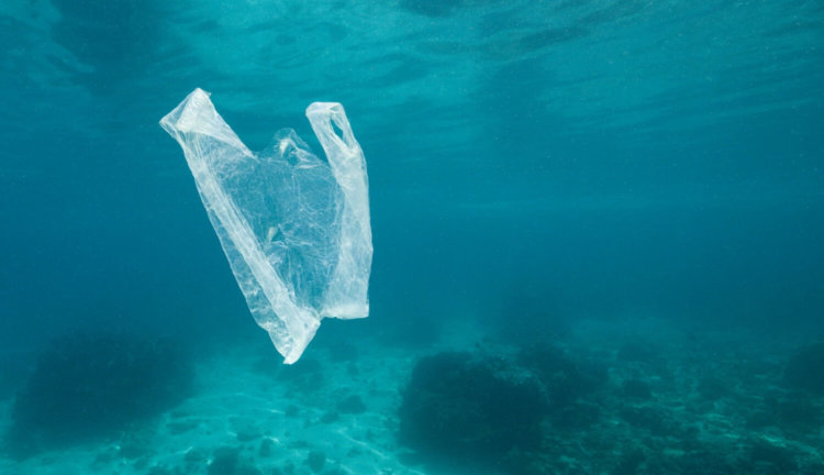 Океанские глубины превратились в «урны» для пластиковых отходов. Фото.