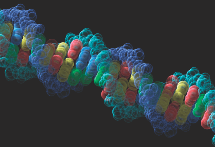 Создан компьютер на основе ДНК, который наконец-то можно перепрограммировать. Фото.