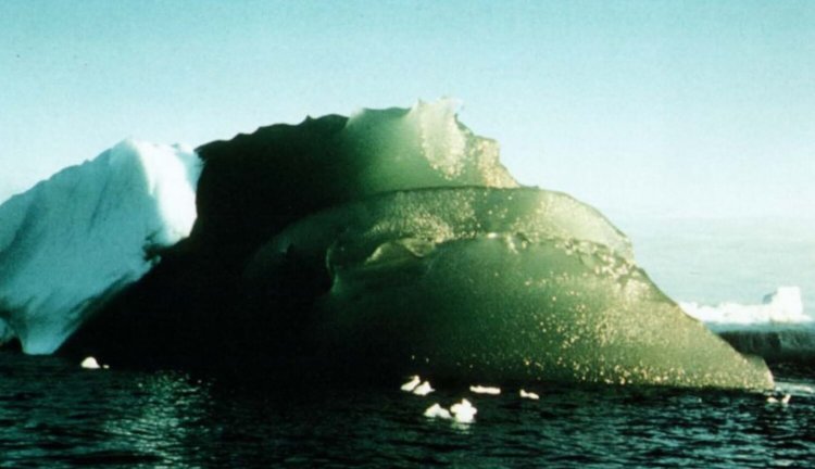 Ученые выяснили, из чего состоят и для чего нужны зеленые айсберги. Фото.