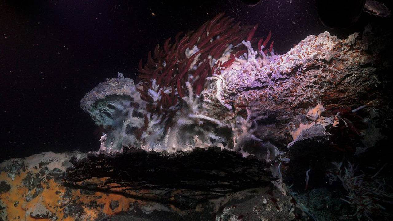 #видео | Под грудами океанического мусора найдены радужные минеральные башни. Фото.