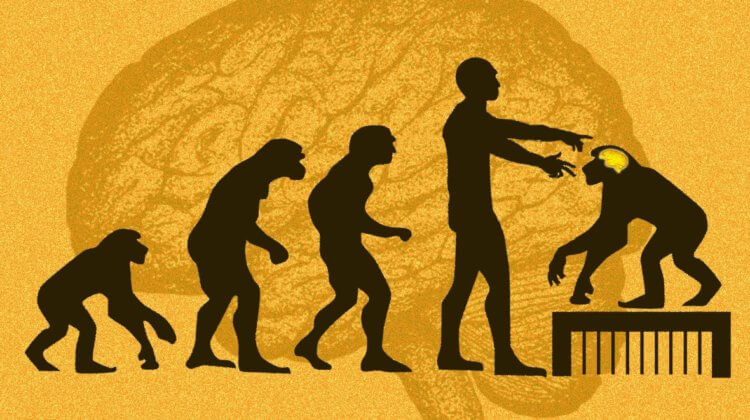 Китайские ученые внедрили гены мозга человека обезьянам. Как думаете, они стали умнее? Как не крути, но это обощение гениально. Фото.