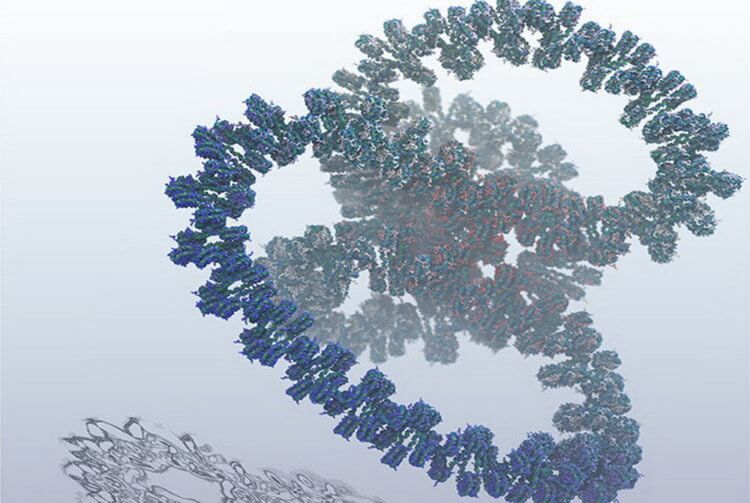 Ученые создали самую полную компьютерную модель гена ДНК. Фото.