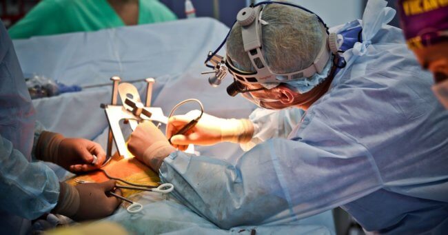 Ученые создали самоуправляемого робота-хирурга для операций на сердце. Фото.
