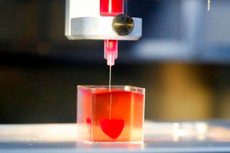 Новости высоких технологий: первое в мире сердце, напечатанное на 3D-принтере. Фото.