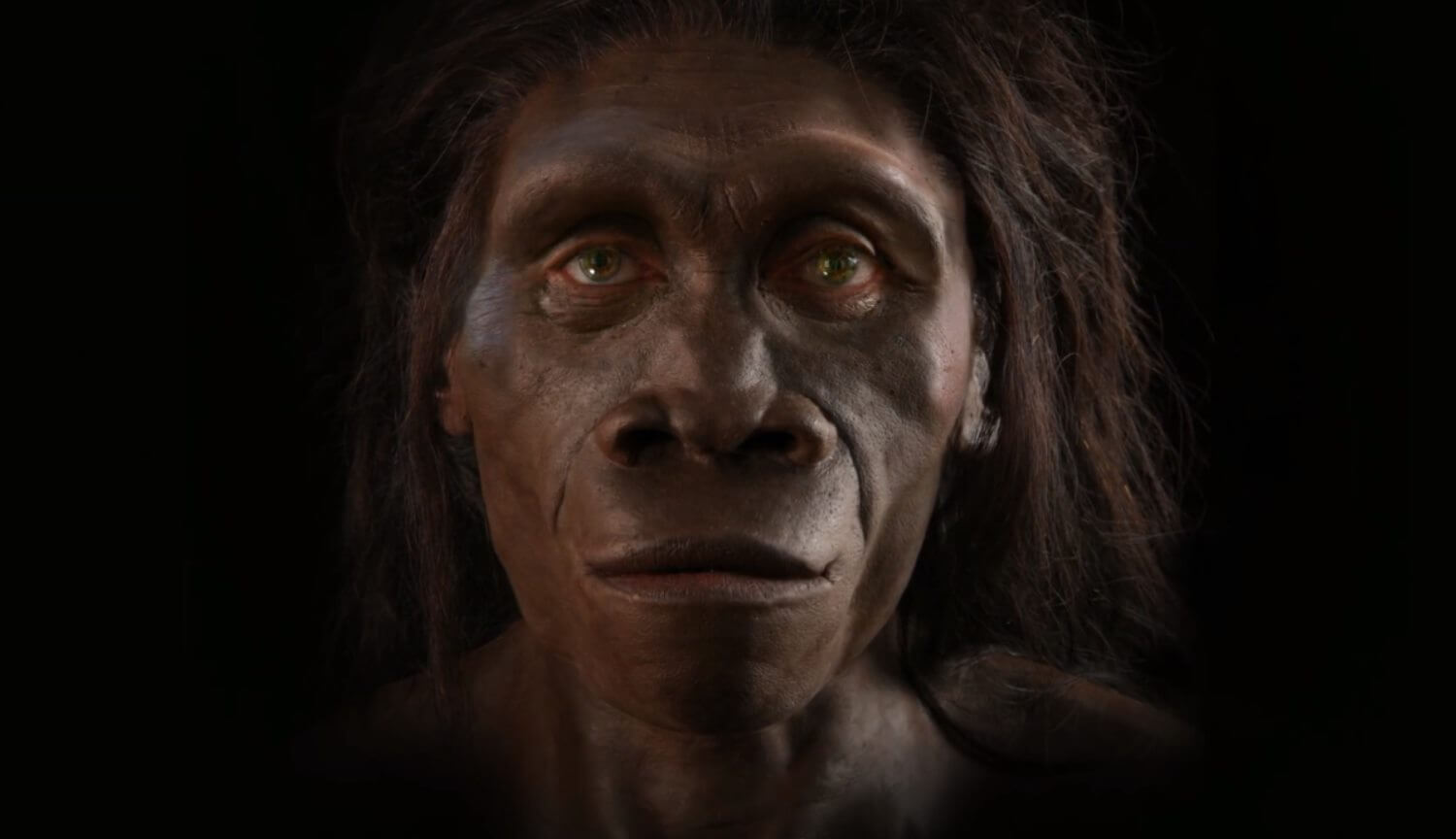 Исследование раскрыло новую причину эволюционного изменения человеческого лица. Фото.