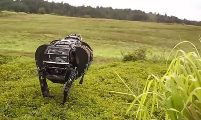 Пора наделить искусственный интеллект такой же защитой, как и животных. Фото.