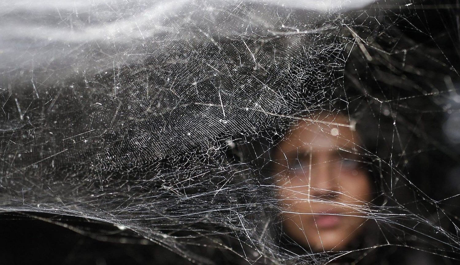 Паучий шелк