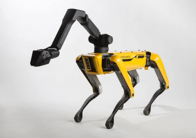Boston Dynamics начнет массовое производство роботов SpotMini этим летом. Фото.