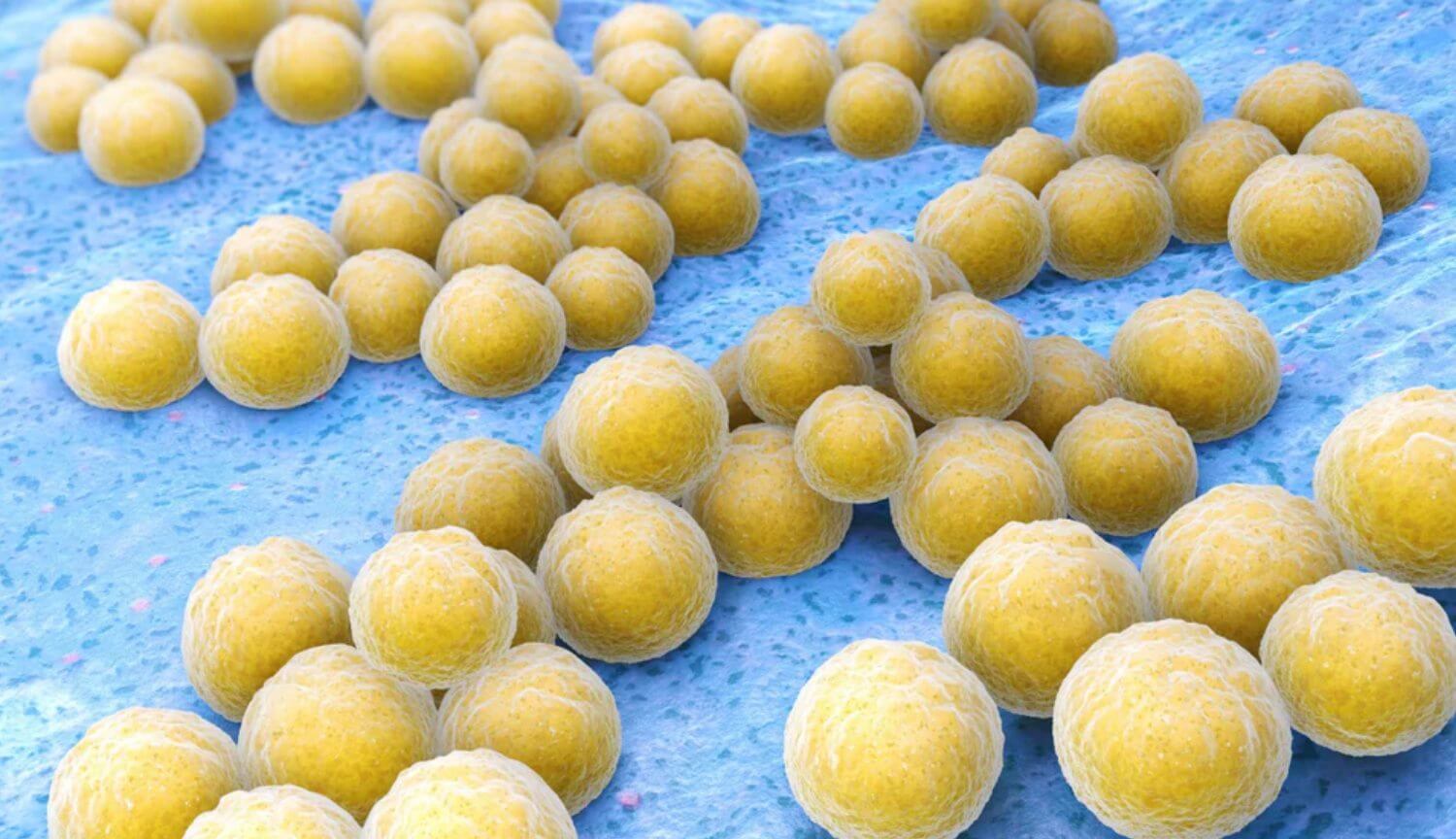 Маленькое устройство способно ослабить иммунитет вирусов к антибиотикам. Маленькое устройство способно ослабить иммунитет вирусов к антибиотикам. Фото.