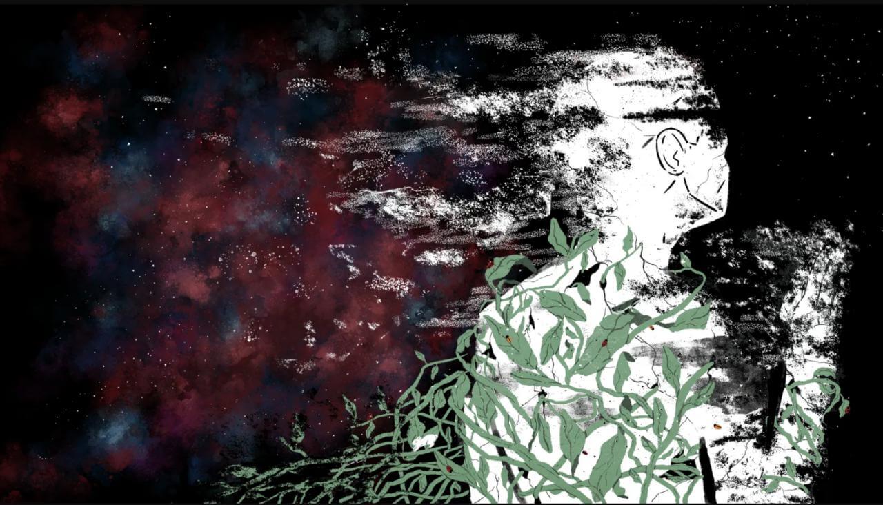 Без человека Земля вполне сможет существовать. С другим видами животных не все так просто. Фото.