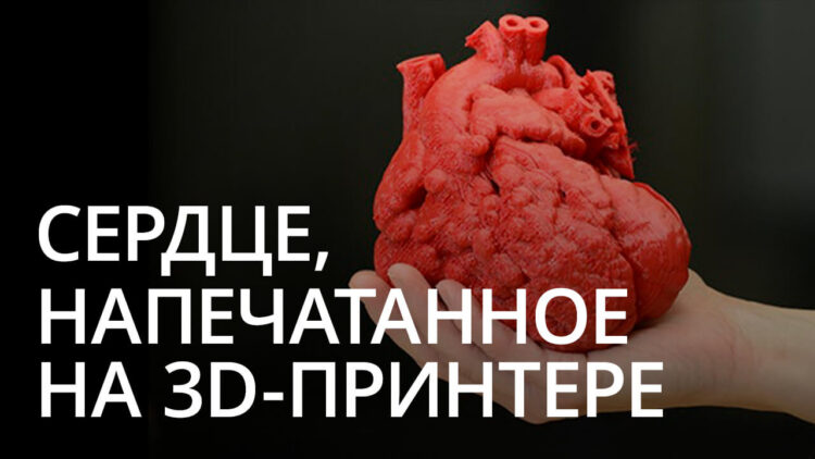 Новости высоких технологий: первое в мире сердце, напечатанное на 3D-принтере. Новости высоких технологий: первое в мире сердце, напечатанное на 3D-принтере. Фото.