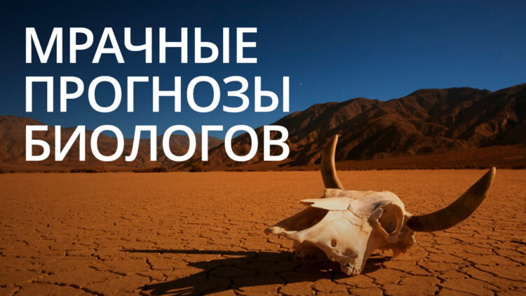 Новости высоких технологий: много мрачных прогнозов. Новости высоких технологий: много мрачных прогнозов. Фото.