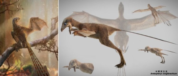 Эволюция провела эксперимент, создав динозавра с крыльями летучей мыши. Фото.