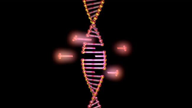 В поисках противоядия от CRISPR: можно ли обращать изменения в генах? Фото.