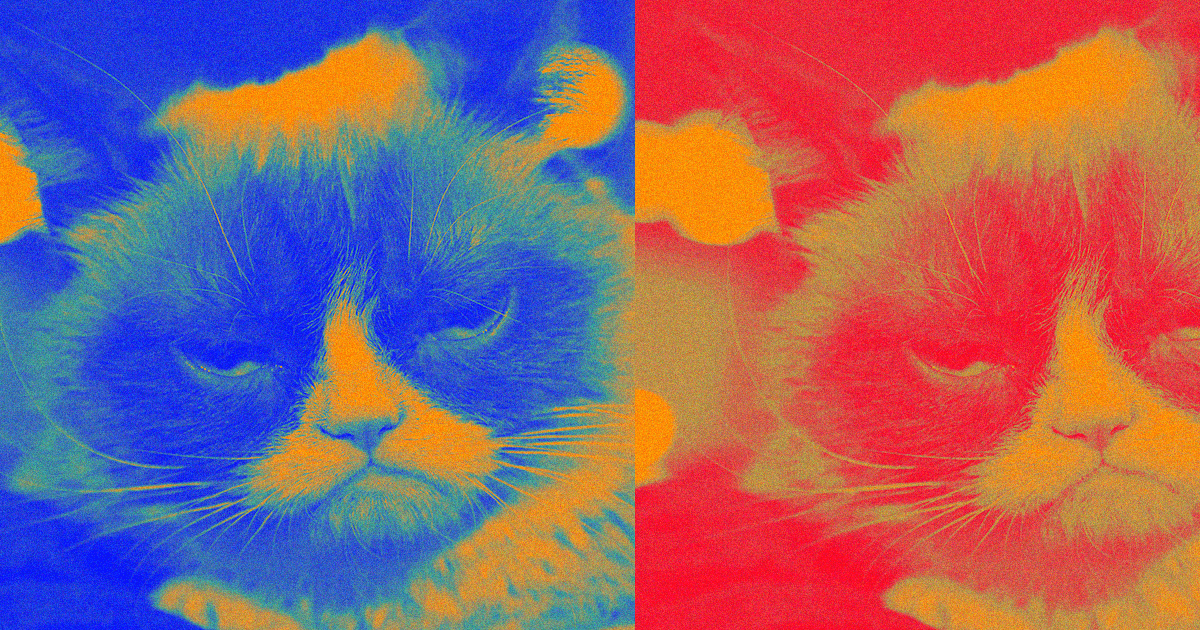 Кошка Grumpy умерла. Можно ли ее клонировать? Фото.