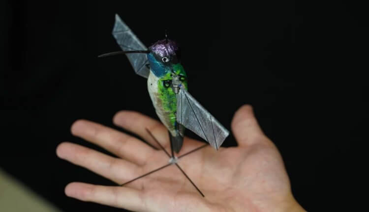 #видео | Как выглядит самый реалистичный робот-колибри? Фото.