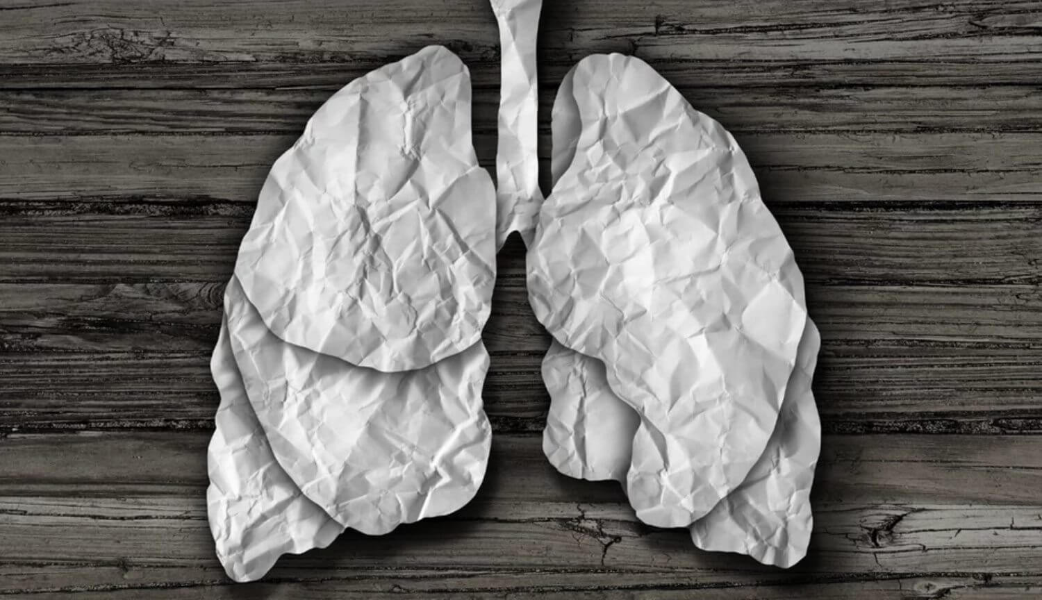 Ученые успешно вылечили поврежденное легкое — дефициту донорских органов настанет конец.. Фото.