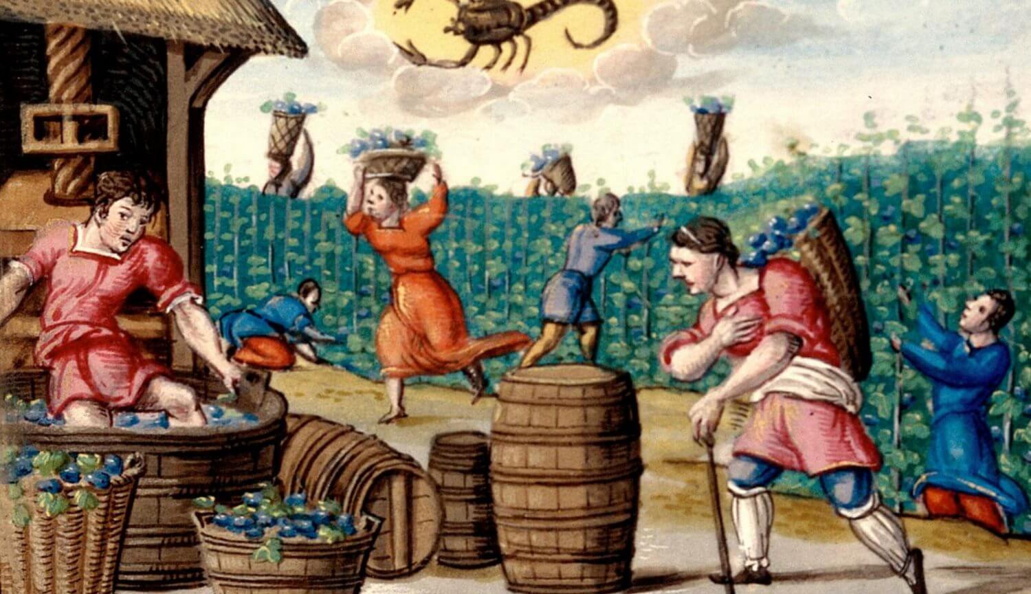 Керамическая посуда рассказала, что ели средневековые крестьяне. Фото.