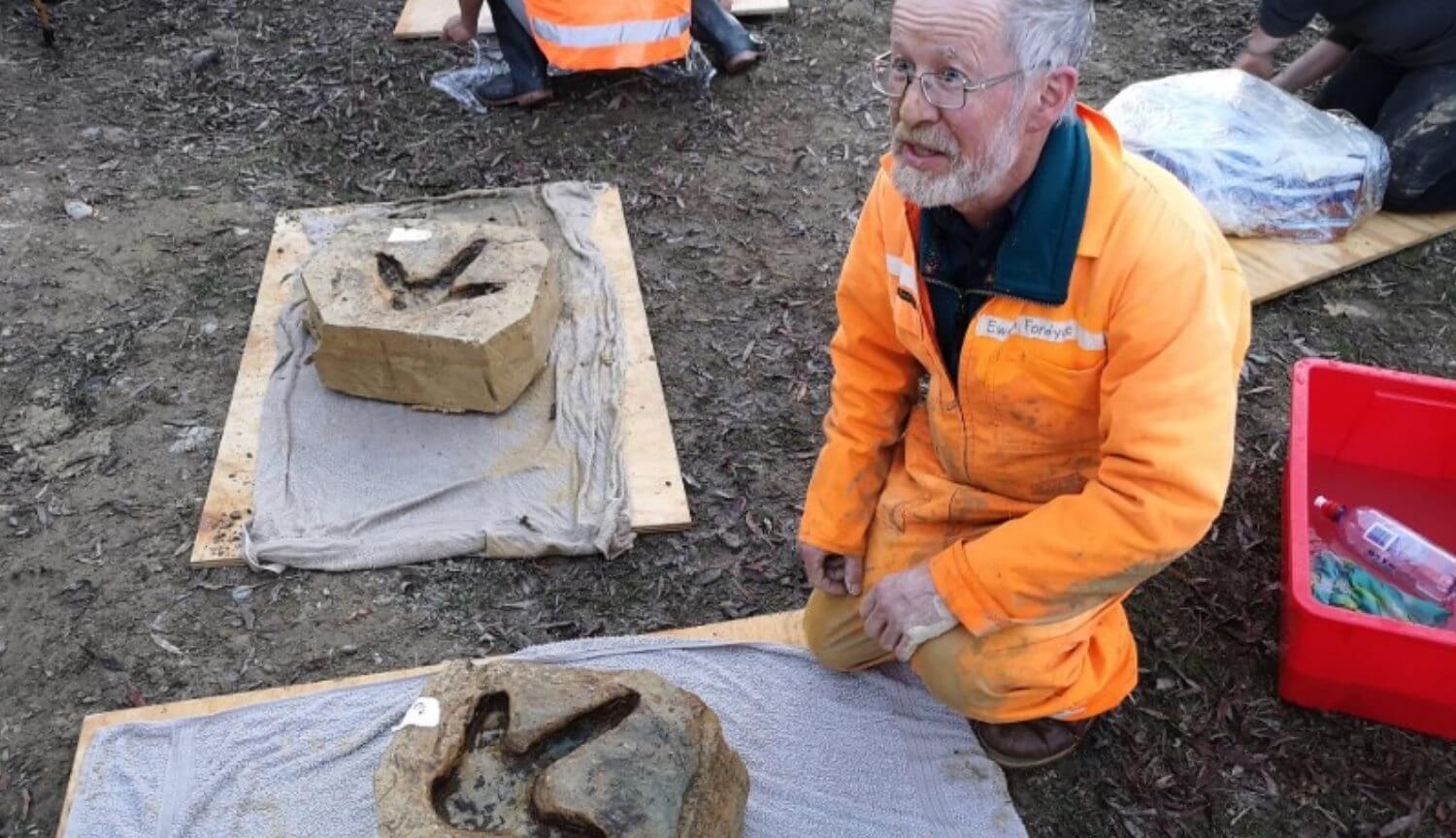#фото | В Новой Зеландии найдены следы древней гигантской птицы без крыльев. Фото.