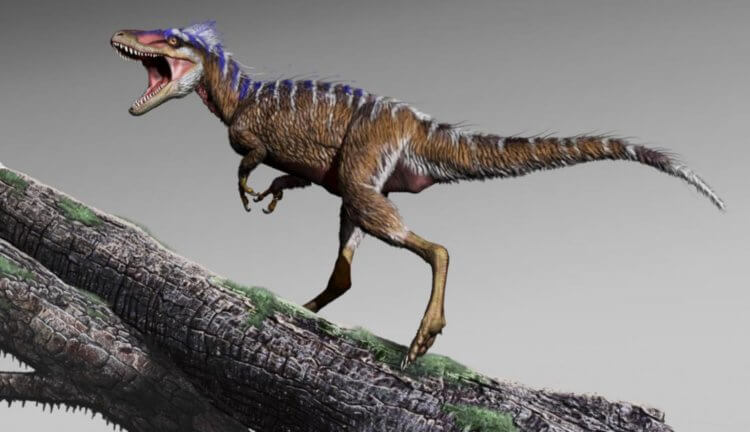 Новая находка палеонтологов объяснила эволюцию огромных тираннозавров. Фото.