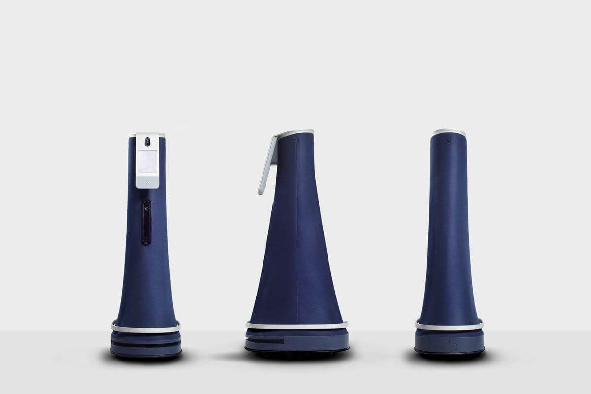 Они бывают разного вида. Фото.