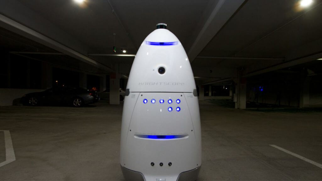 Пуля или яйцо. Кто, что видит? Фото.