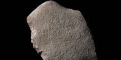 Во Франции найден камень с древними рисунками животных. Фото.