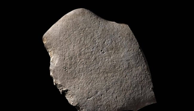 Во Франции найден камень с древними рисунками животных. Фото.