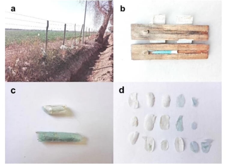 Пчелы начали строить гнезда полностью из пластиковых отходов. В Австралии найдены пчелиные гнезда из пластика. Фото.