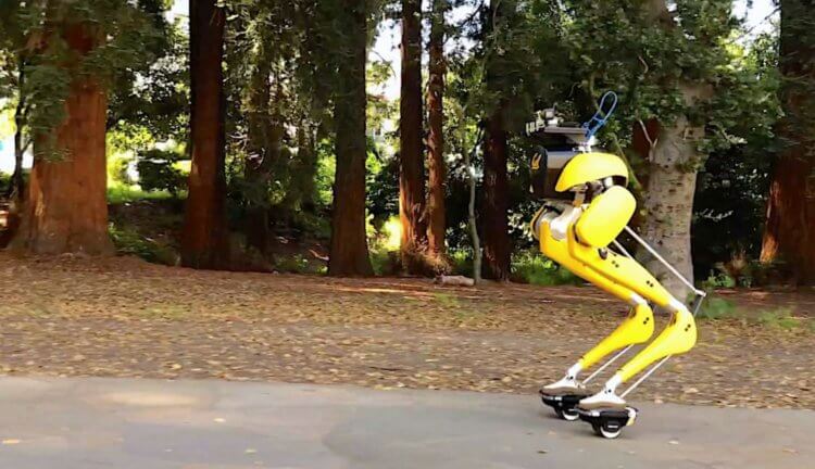 #видео | Зачем роботы учатся кататься на роликах лучше людей? Фото.