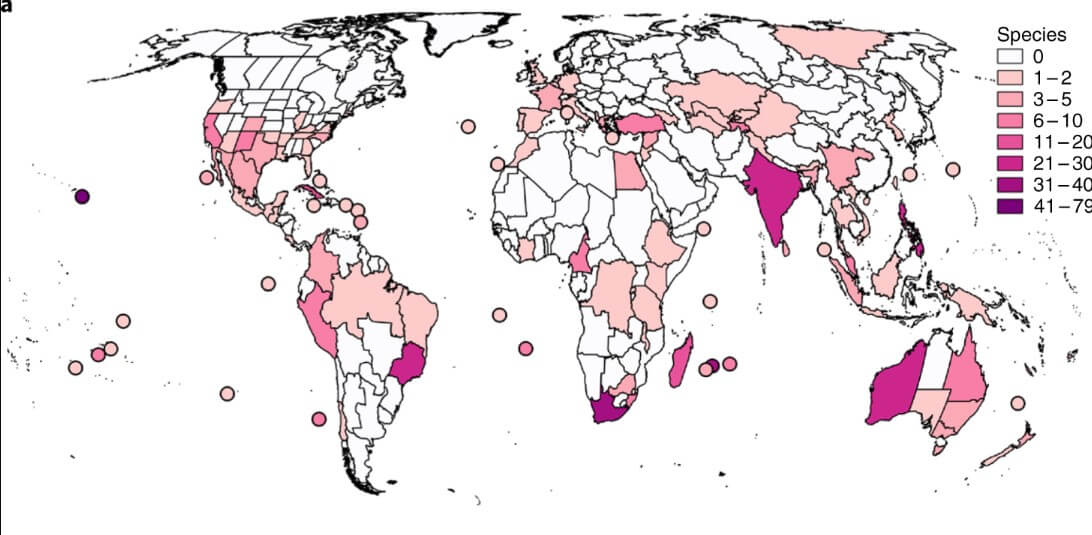Человечество уничтожает природу. 500 видов растений потеряны безвозвратно.. Люди истребили более 500 растений.. Фото.