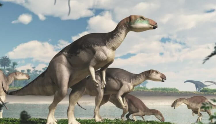 В Австралии найдены останки нового динозавра, украшенные драгоценными камнями. Фото.