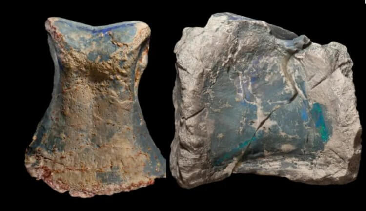 В Австралии найдены останки нового динозавра, украшенные драгоценными камнями. Новый вид динозавров жил 100 миллионов лет назад. Фото.