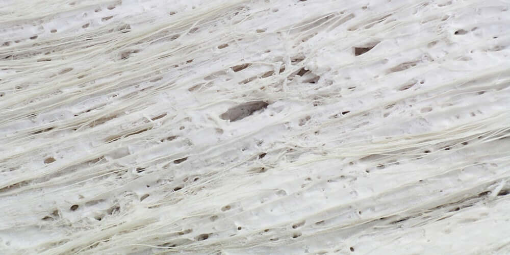 Ученые рассказали, где искать инопланетян на Марсе. Первый контакт с инопланетянами — это обнаружение бактерий. Фото.