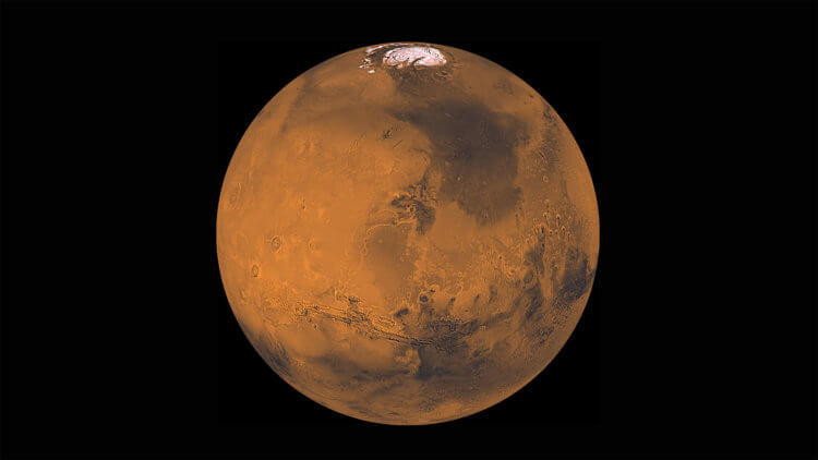 Марсоход нашел что-то на Марсе: жизнь или нет? Фото.
