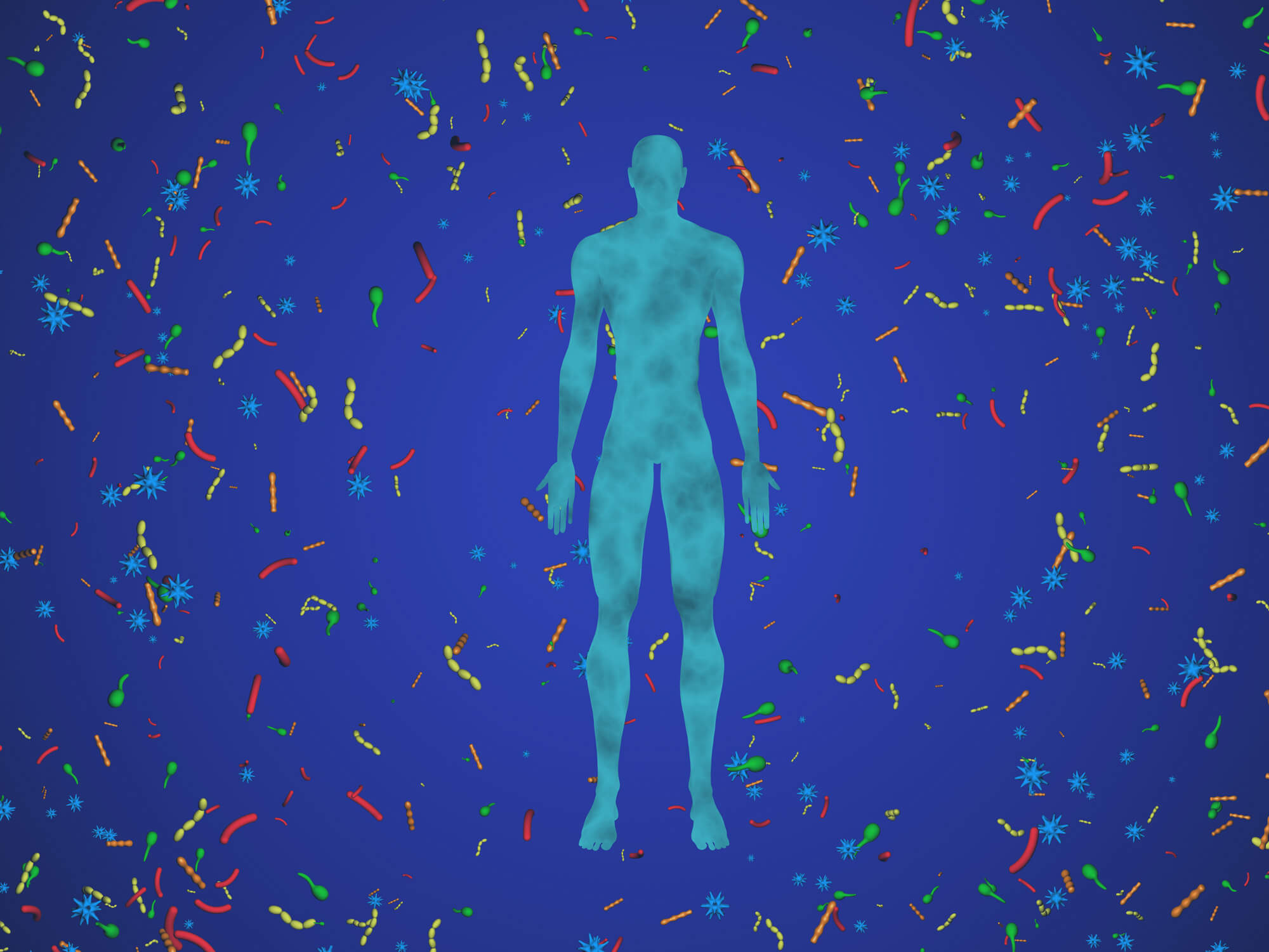 Разнообразие кишечной микрофлоры может быть секретом здоровой жизни в пожилом возрасте.. Фото.