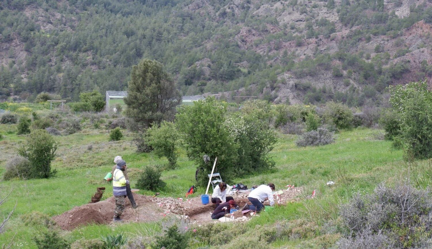 На Кипре найдены останки каменных домов древних поселенцев.. Фото.