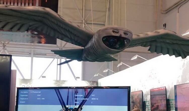 В России разработали шпионский дрон в виде совы. Фото.